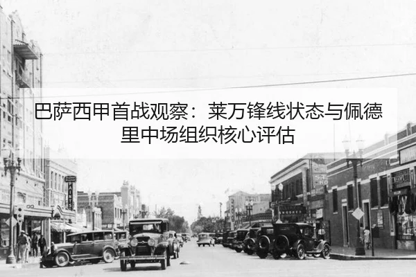 ba-sa-xi-jia-shou-zhan-guan-cha-lai-wan-feng-xian-zhuang-tai-yu-pei-de-li-zhong-chang-zu-zhi-he-xin-ping-gu-2-696.jpg