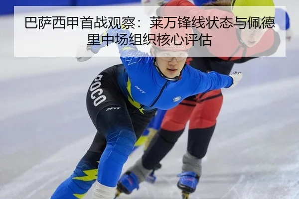 ba-sa-xi-jia-shou-zhan-guan-cha-lai-wan-feng-xian-zhuang-tai-yu-pei-de-li-zhong-chang-zu-zhi-he-xin-ping-gu-3-983.jpg