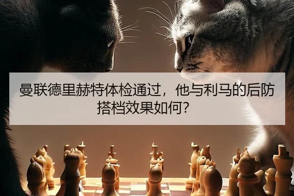 曼联德里赫特体检通过，他与利马的后防搭档效果如何？