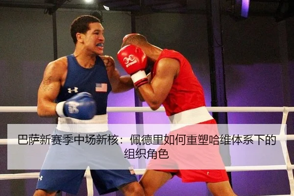 ba-sa-xin-sai-ji-zhong-chang-xin-he-pei-de-li-ru-he-zhong-su-ha-wei-ti-xi-xia-de-zu-zhi-jue-se-2-653.jpg