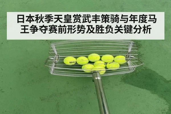 日本秋季天皇赏武丰策骑与年度马王争夺赛前形势及胜负关键分析